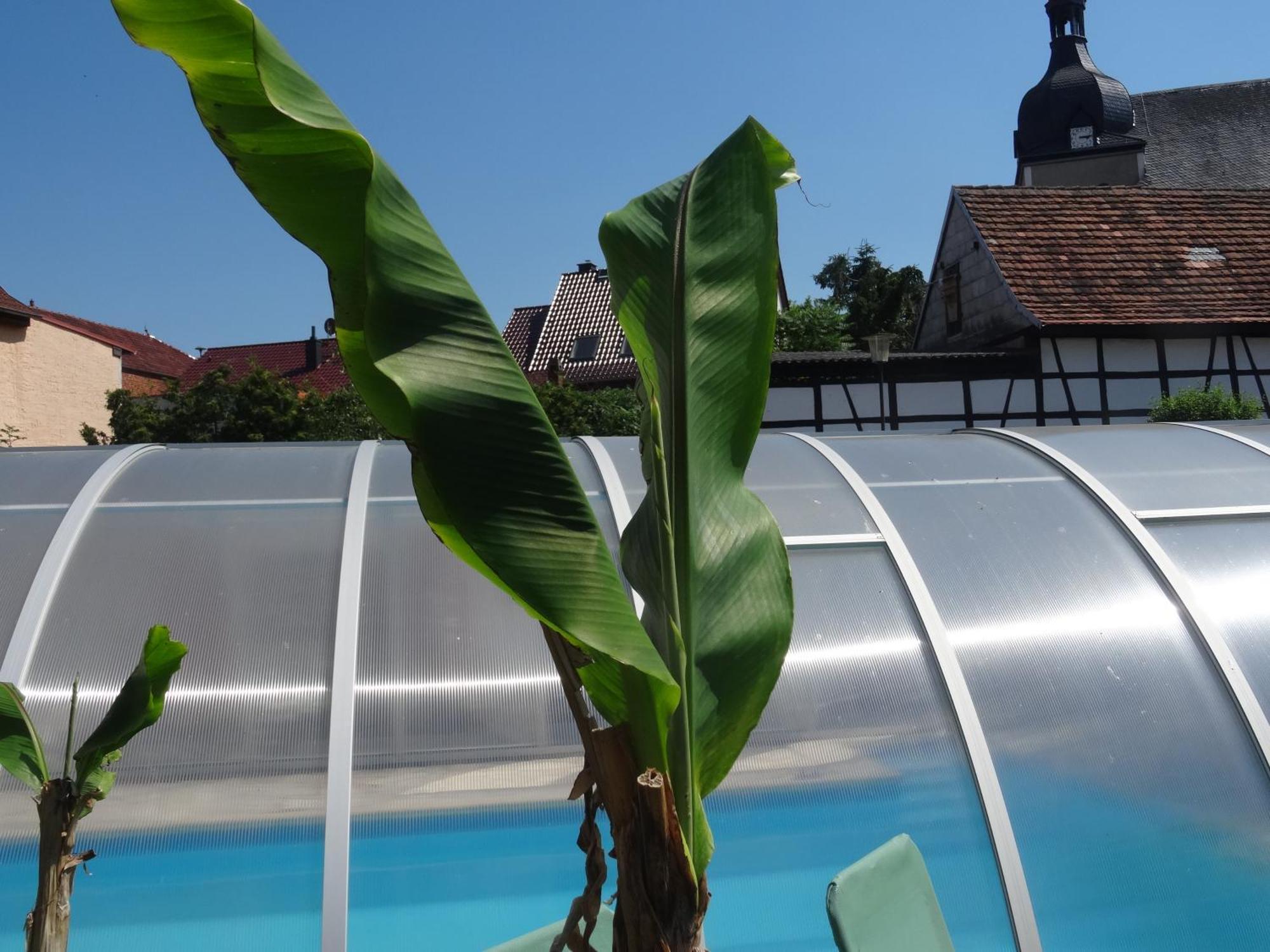 Pension Und Gaestehaus Paffrath Grossbrembach 外观 照片